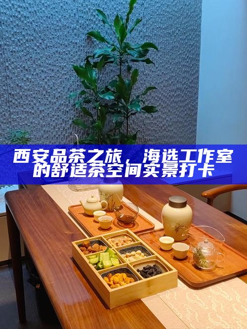 西安品茶论坛官网测评，真实用户的茶室体验分享